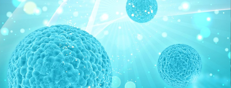 Tissue Regeneration