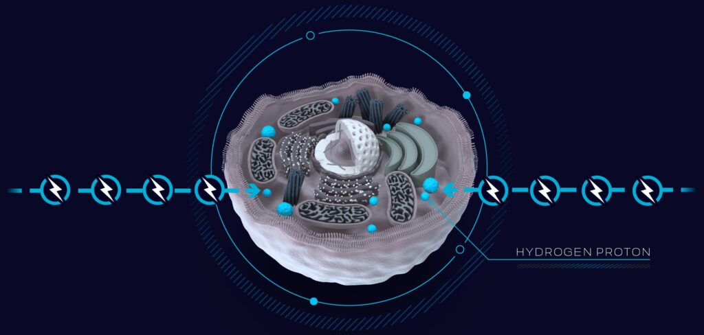 How MBST Works 03 mbst