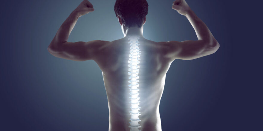 spine recovery by MBST